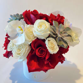Bouquet of red and white roses with succulents in a white box