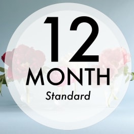 Monthly Flower Subscription - 12 Months