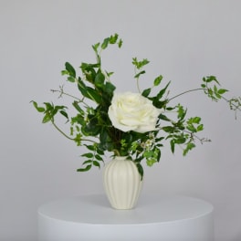 White rose arrangement in a white vase with airy greenery