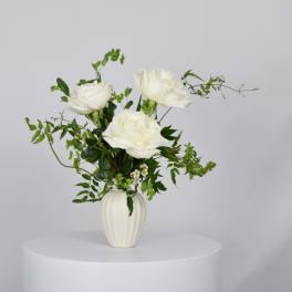 White roses in a white vase with airy greenery