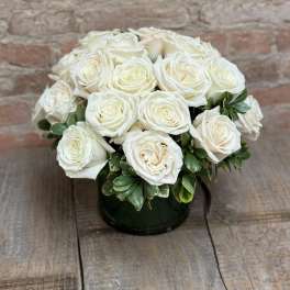 Two Dozen White Roses "In a bush"