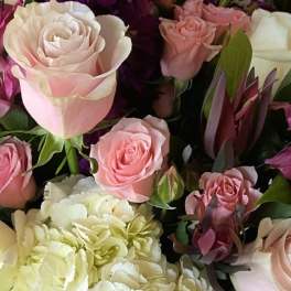 Bouquet of pink and white roses with purple flowers