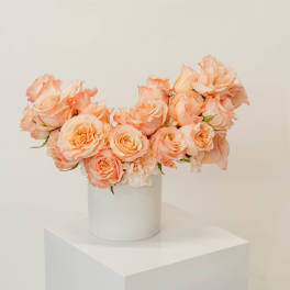 Peach roses arranged in a white cylindrical vase