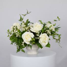 White roses arranged in a white vase with greenery