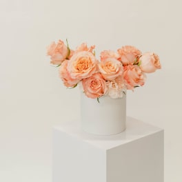 Peach roses arranged in a white cylindrical vase