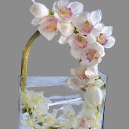 White orchids arranged in a clear rectangular vase with water