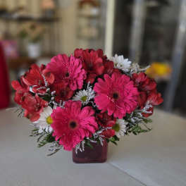Pink and red gerbera daisies in a small vase with white daisies