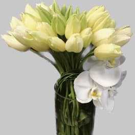 Yellow tulips and white orchids arranged in a tall glass vase
