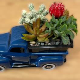 Blue toy truck holding a small succulent planter