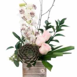 Pink roses and white orchids in a wooden box with a large succulent