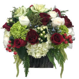 Bouquet of red and white roses with green hydrangeas in a black container