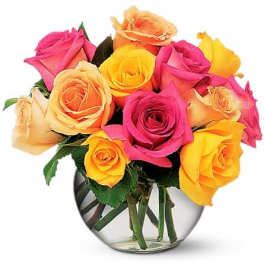 Multi-Colored Roses