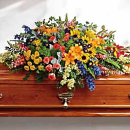 Mixed-color casket spray of bright flowers arranged across a polished wood casket