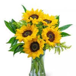 Snazzy Sunflowers