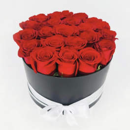 Red roses arranged in a black round box with a white ribbon