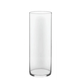 Tall clear glass cylinder vase on a white background