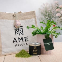 Matcha gift set with tote bag, tin, powder, and potted plant
