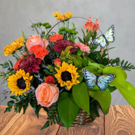 Basket arrangement with sunflowers, roses, mums, and butterfly picks