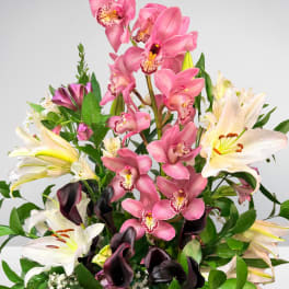 Bouquet of pink orchids, white lilies, and dark calla lilies