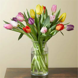 Colorful tulips arranged in a clear glass vase