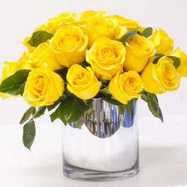 Mellow Yellow Rose