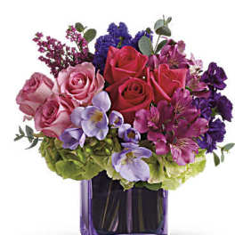Exquisite Beauty by Teleflora