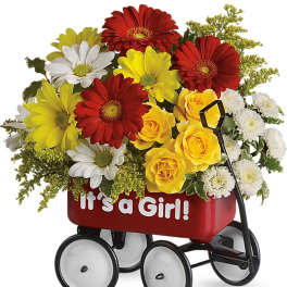 Baby's Wow Wagon by Teleflora - Girl