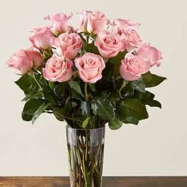 Long Stem Pink Rose Bouquet