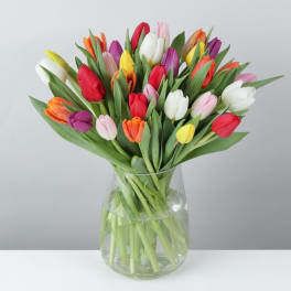SPRING TULIPS BOUQUET