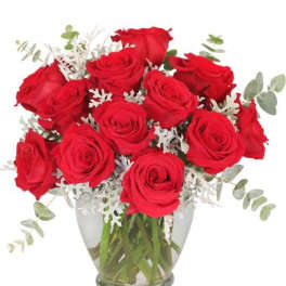 Red roses arranged in a clear glass vase with silver foliage