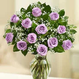 Rose Elegance Premium Long Stem Purple Roses