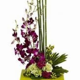 Dendrobium Orchids and green carnations or hydrangea.
