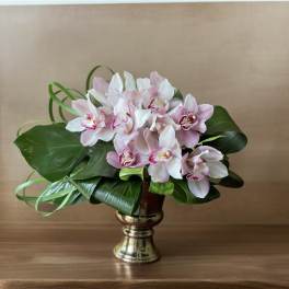 Pink and white orchids arranged in a gold vase