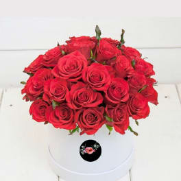 Red roses arranged in a white round box