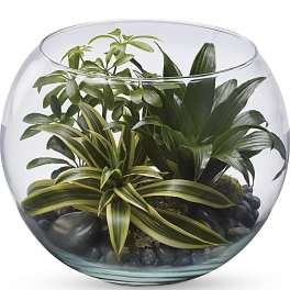 Sphere Of Tranquility Terrarium