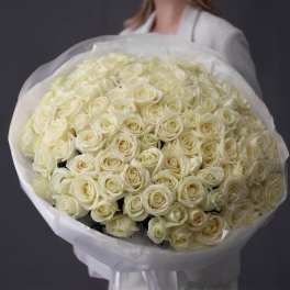 Large bouquet of cream white roses wrapped in white paper