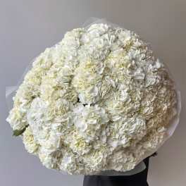 Large round bouquet of white hydrangeas wrapped in clear paper