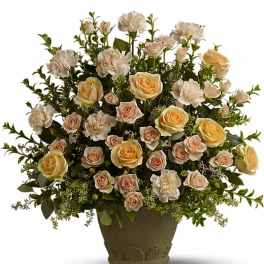 Teleflora's Rose Remembrance