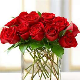 Modern Roses One Dozen Red