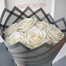 White Mondial Elegance - Dozen Roses