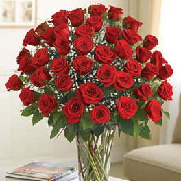 Ultimate Elegance Premium Long Stem Red Roses