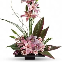 Imagination Blooms with Cymbidium Orchids