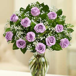 Rose Elegance Premium Long Stem Purple Roses