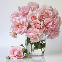 Pink roses in a clear glass vase with one bloom resting beside it