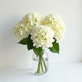 White hydrangea bouquet in a clear glass vase