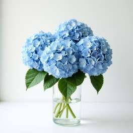 Blue hydrangea bouquet in a clear glass vase