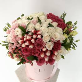 Evelina Arrangement