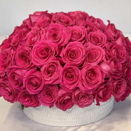 Round arrangement of hot pink roses in a white textured container