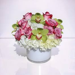 Blush Orchid Elegance