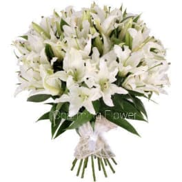Excellent White Lilies. '